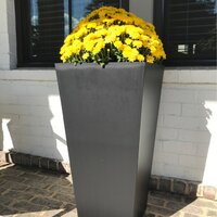 Veradek V-Resin Series Pot Planter & Reviews - Wayfair Canada